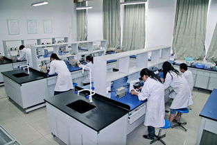 中草藥科技領(lǐng)域的技術(shù)咨詢 賦能醫(yī)學(xué)實(shí)驗(yàn)技術(shù)專業(yè)發(fā)展的核心橋梁